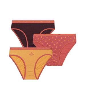 Pack of 3 girls' knickers with cherry patterns in Chocolat Les Pockets