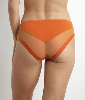 Women's briefs in microfiber and tulle Mandarine Dim Generous