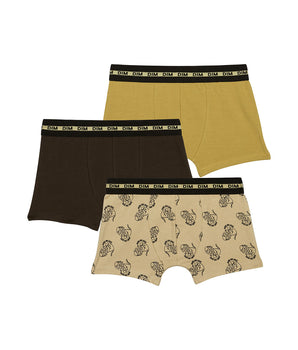 Lot de 3 boxers garçons motif lion Kaki Moutarde Fashion Coton Stretch